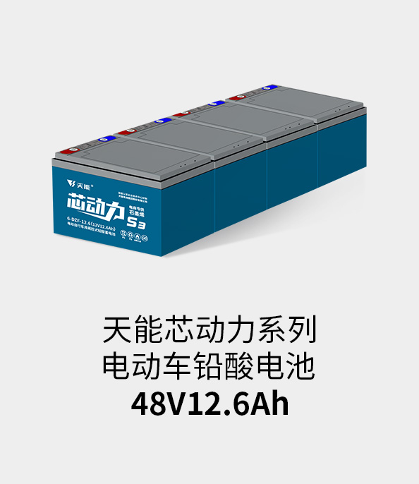 凯发k8国际电池48v12ah