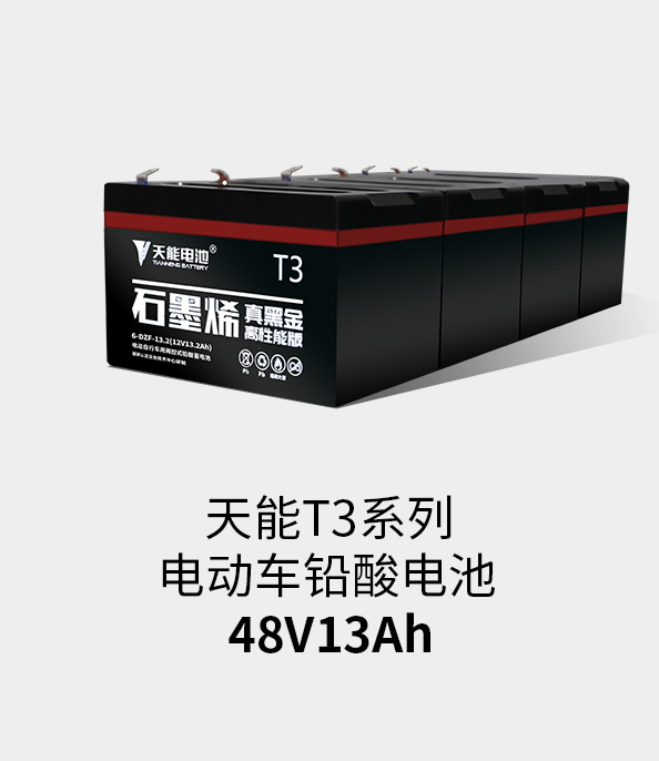 凯发k8国际T3系列48v13ah