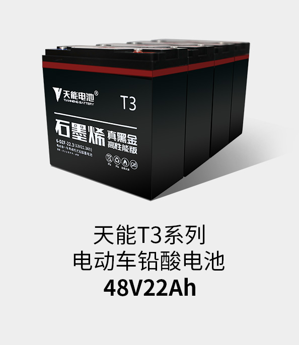 凯发k8国际T3系列48v22ah
