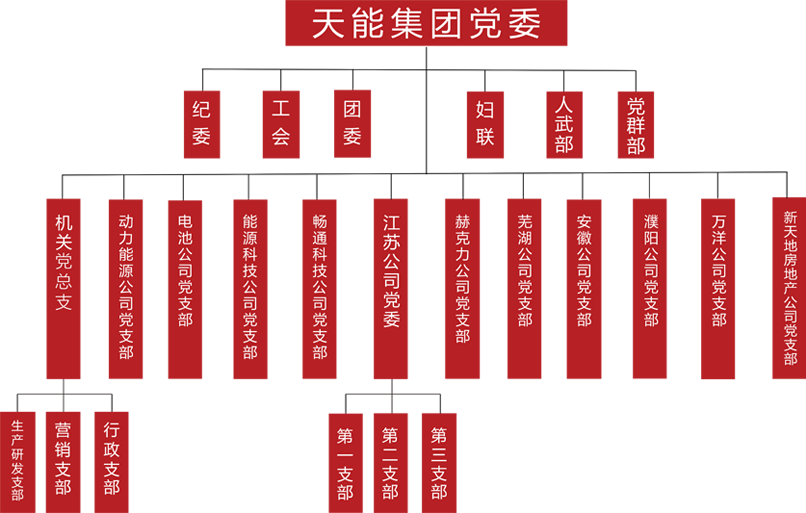 凯发k8国际建团党委组织架构