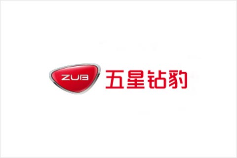 凯发k8国际电池合作伙伴 五星钻豹电动车